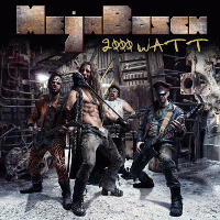 Megabosch : 2000 Watt